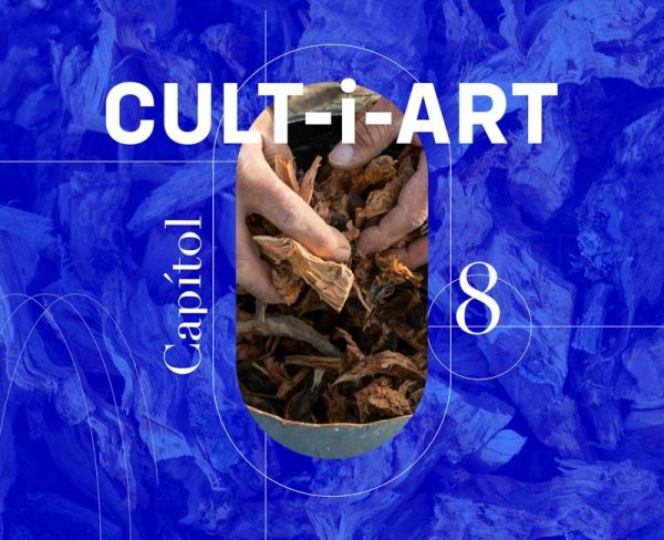 CULT-i-ART: Capítol 8